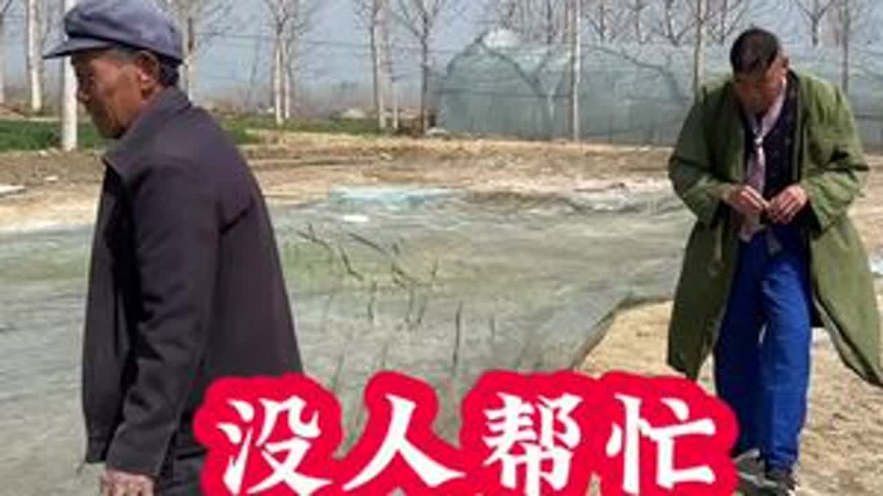 老铁们，你们庄上都有这样人吗？#看一遍笑一遍 #热门 @戚大姐 @狗蛋妈