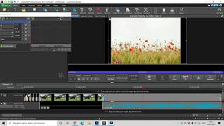 How To Remove The Black Borders In Video | VideoPad Tutorials | Vedeo Effects