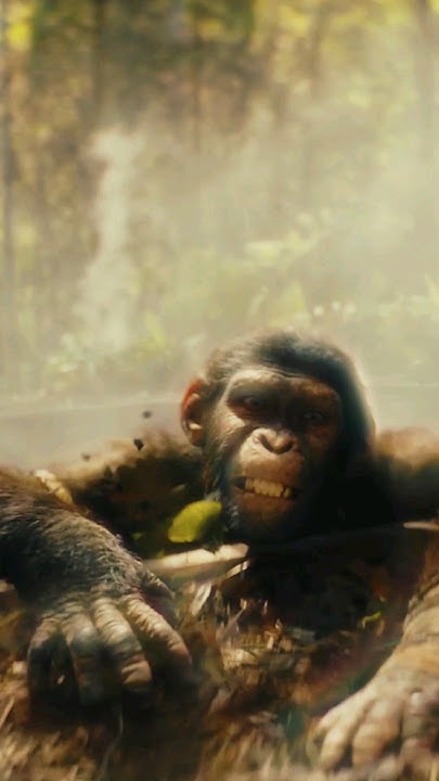 top-movie-scene-apes-remix-kingdom-of-the-planet-of-the-apes-youtube