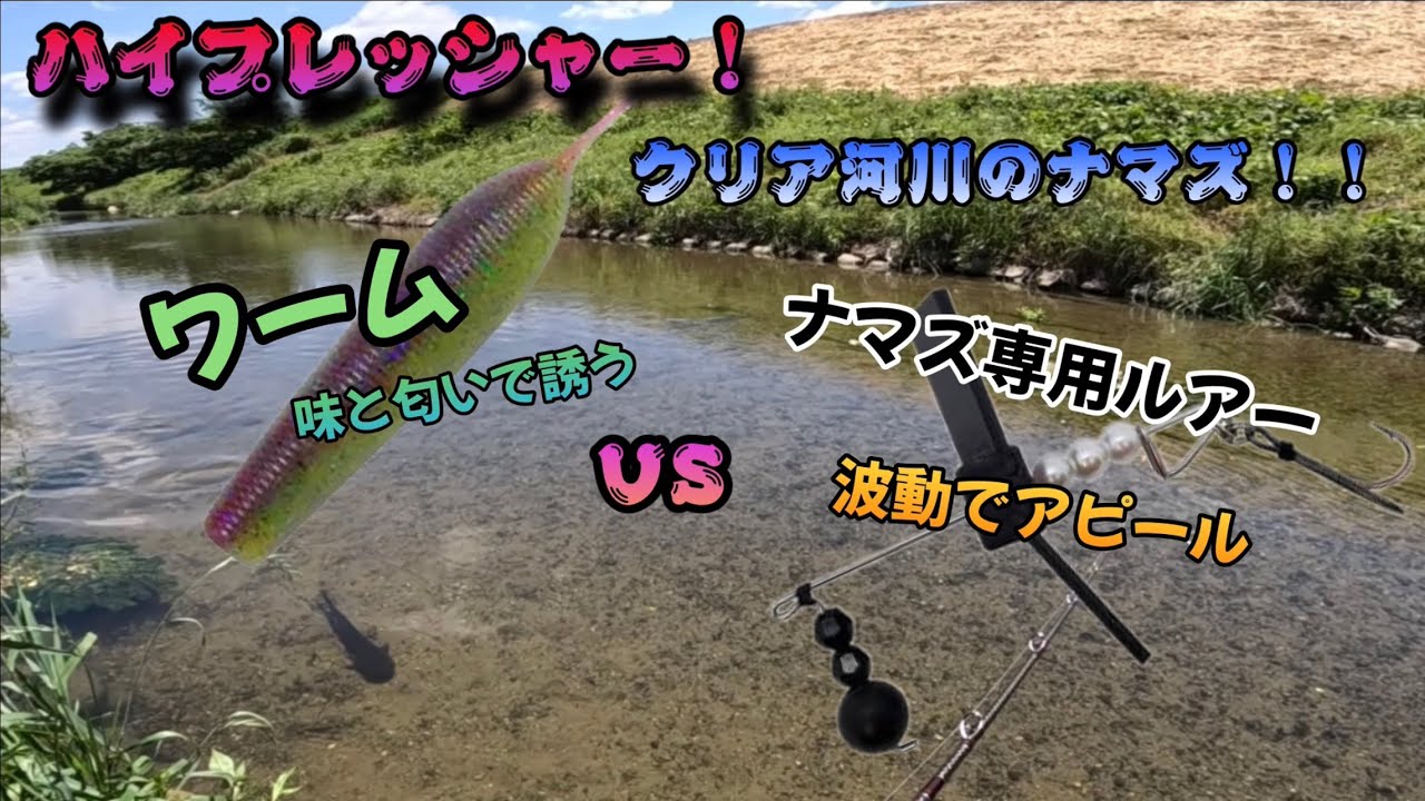 どっちが釣れる❓ナマズ丸見え❗️クリア河川⁉️ワーム🆚ナマズ専用