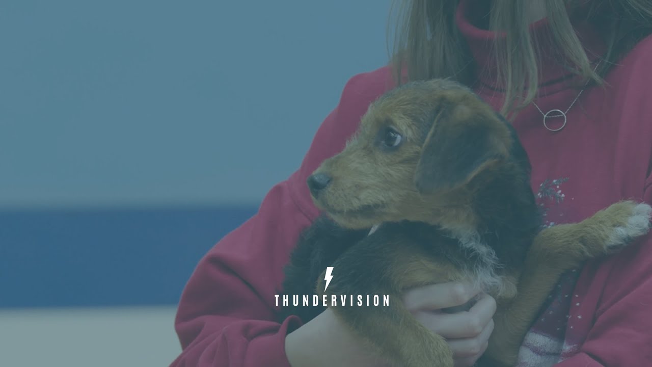Thundervision | Westlake High School | Season 7: Week 13