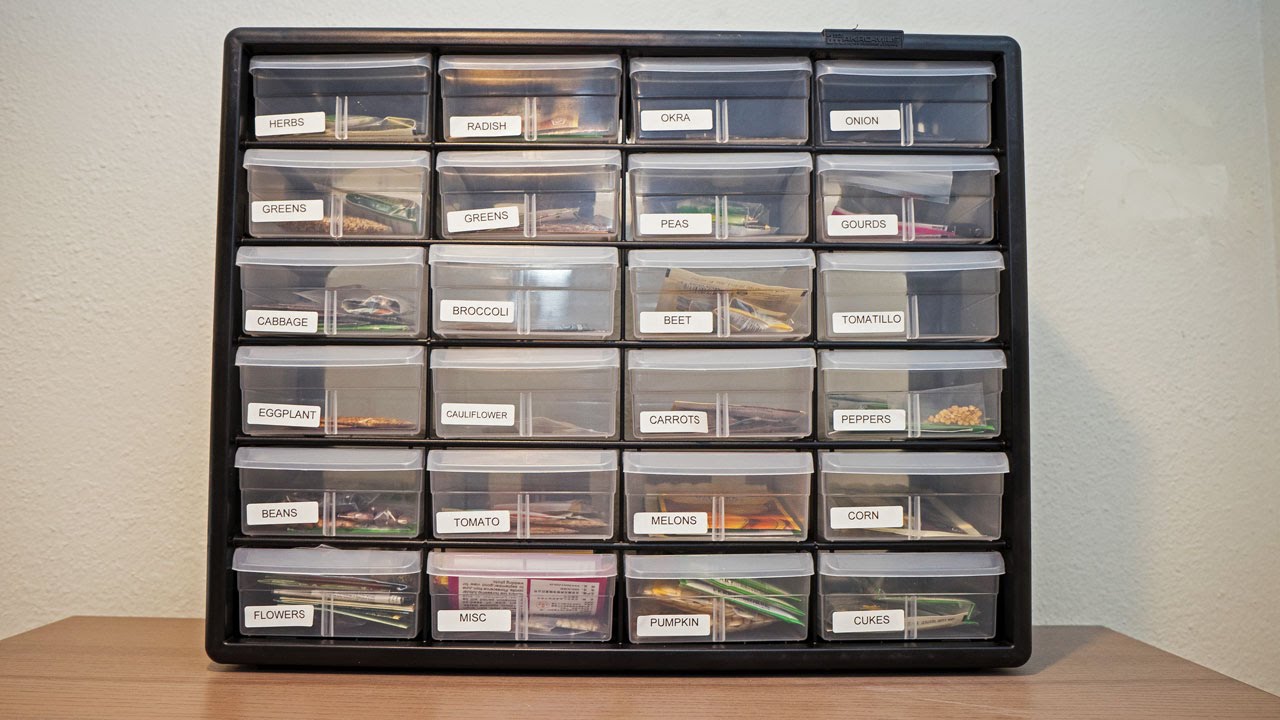 How to Store Seeds & Keep Seeds Organized