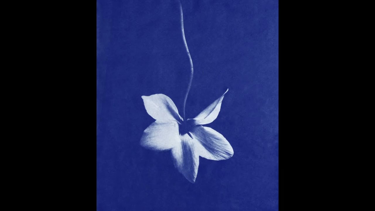 (FREE) PHARRELL WILLIAMS x KANYE WEST TYPE BEAT 'Adventurous'