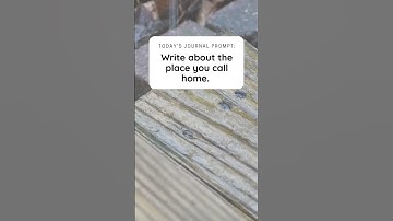 Daily Journal Prompt