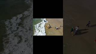 Thúng cá vào bờ ! #beach #sea #flycam #dji #travel #music