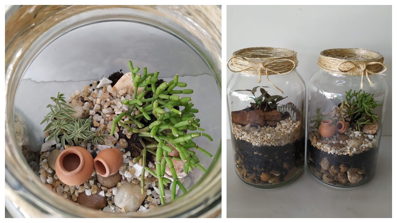 DIY Terrário em Vidro de Conserva - Mini Jardim Passo a Passo
