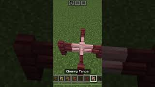 Are Minecraft fences racist?!?