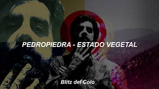 Video thumbnail of "PEDROPIEDRA - ESTADO VEGETAL (LETRA)"