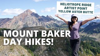 Beautiful Hikes Mount Baker: Heliotrope Ridge, Artist Point & Yellow Aster Butte