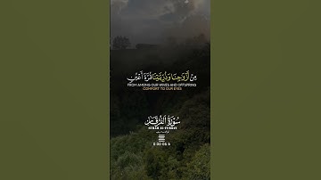 سورة الفرقان  #تلاوة_خاشعة #قرآن #قران_كريم #تلاوة
