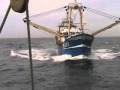 Fishing Vessel hits large Sailing Vessel in Good Visibility  20/8/2010
