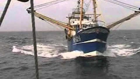 Fishing Vessel hits large Sailing Vessel in Good Visibility  20/8/2010 - DayDayNews