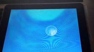 Celebrity Implicit Learning Game Wealth