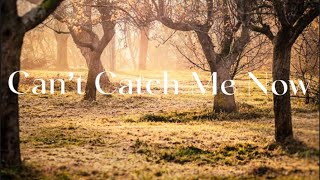 Olivia Rodrigo- Cant Catch Me Now Lyrics