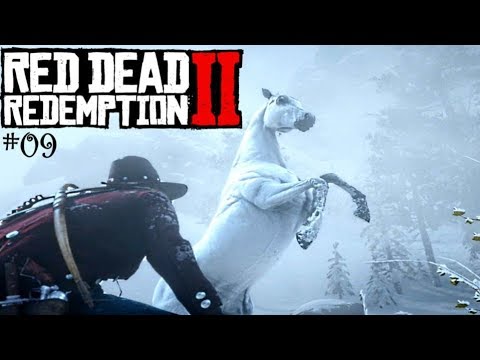 Red Dead Redemption 2 Weißer Araber Red Dead Redemption 2 Weißer Araber