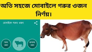 মোবাইল অ্যাপসেঅতি সহজে গরুর ওজন নির্ণয় করুন। গরুর ওজন নির্ণয় পদ্ধতি। গরুর ওজন নির্ণয় অ্যাপস। screenshot 1