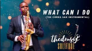 What Can I Do (The Corrs) Saxophone Instrumental -TheDonSax