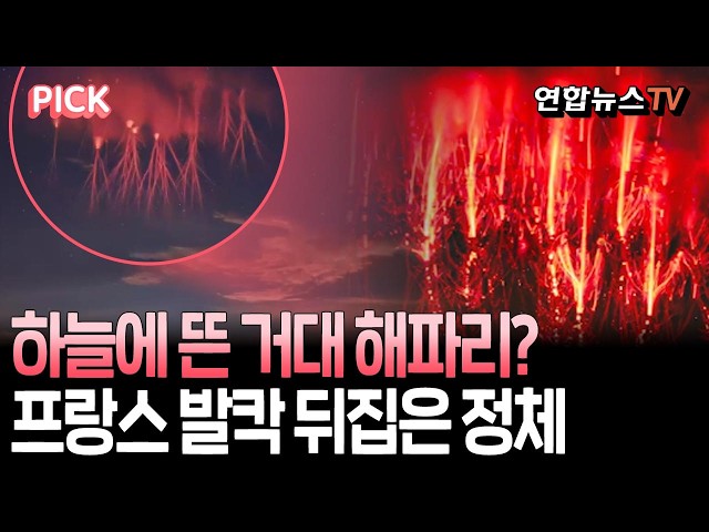 프랑스 하늘에 거대한 '붉은 해파리'?…정체 알고 보니 '깜짝' [PICK] / 연합뉴스TV(YonhapnewsTV)