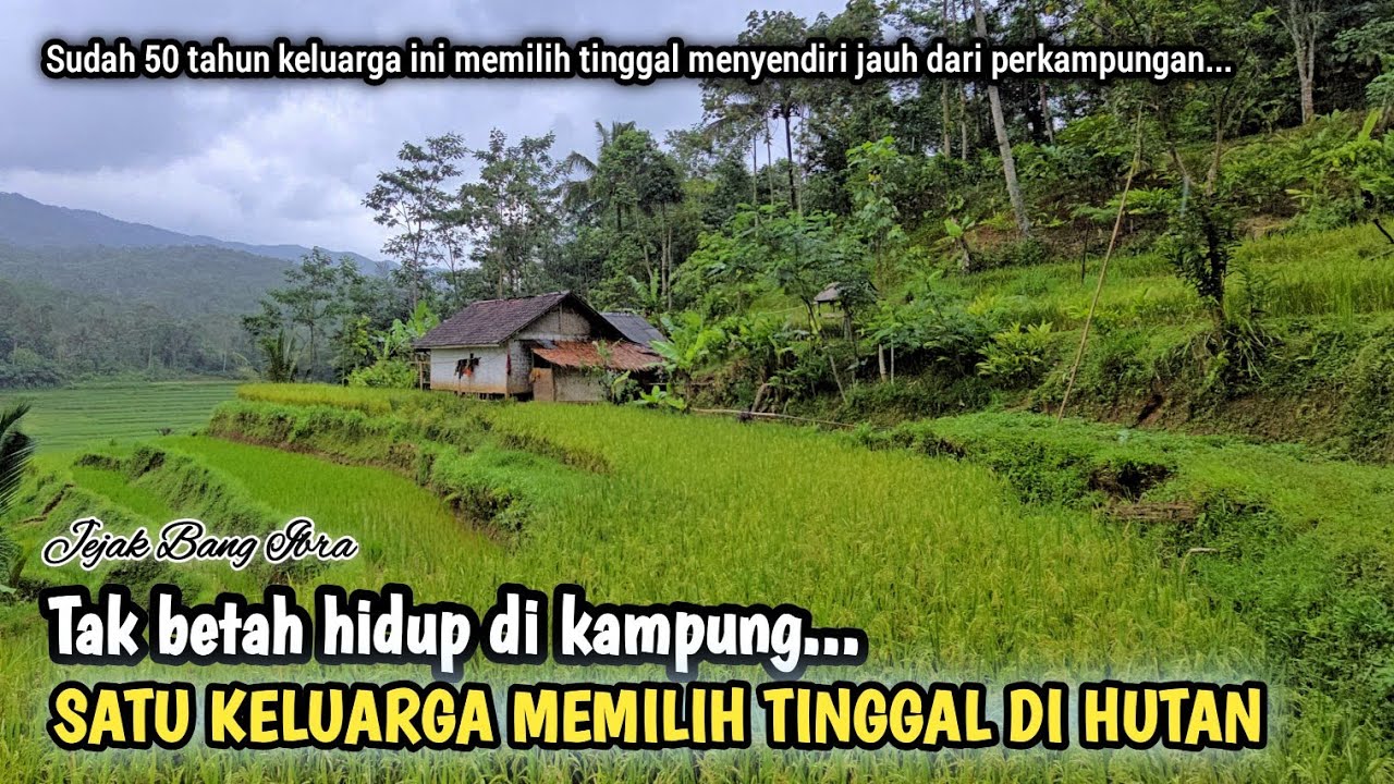 MENINGGALKAN KAMPUNG HALAMAN DAN MEMILIH TINGGAL DI HUTAN SELAMA 50 TAHUN LEBIH...