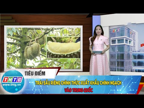 Video Trái sầu riêng chính thức xuất khẩu chính ngạch vào... - youtube