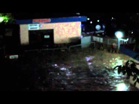 მდინარე ვერემ თამაზ ელიზბარაშვილის ძაღლების თავშესაფარი დატბორა