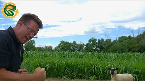 Our Organic Farm - How It Works