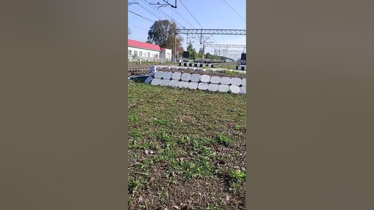 #train #music #railway #поезд ржд России Сапсан эвс1 пролетает станцию Решетникова