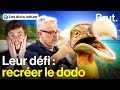 Ils veulent recrer cet oiseau mythique devenu le symbole de lextinction des espces