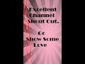 applelover53 -Excellent ScanNcut Channel.