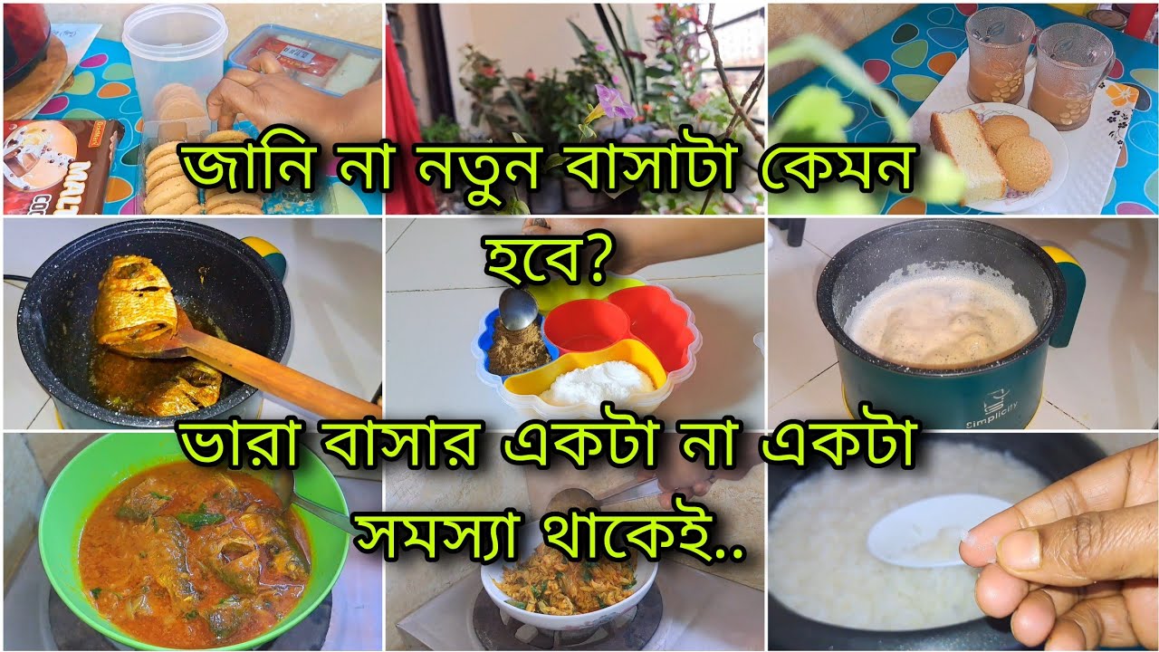 ভারা বাসায় একটা না একটা সমস্যা থাকেই! জানি না নতুন বাসাটা কেমন হবে।