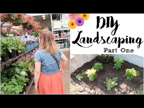 DIY LANDSCAPING | HOME PROJECT SERIES | PT. 1
