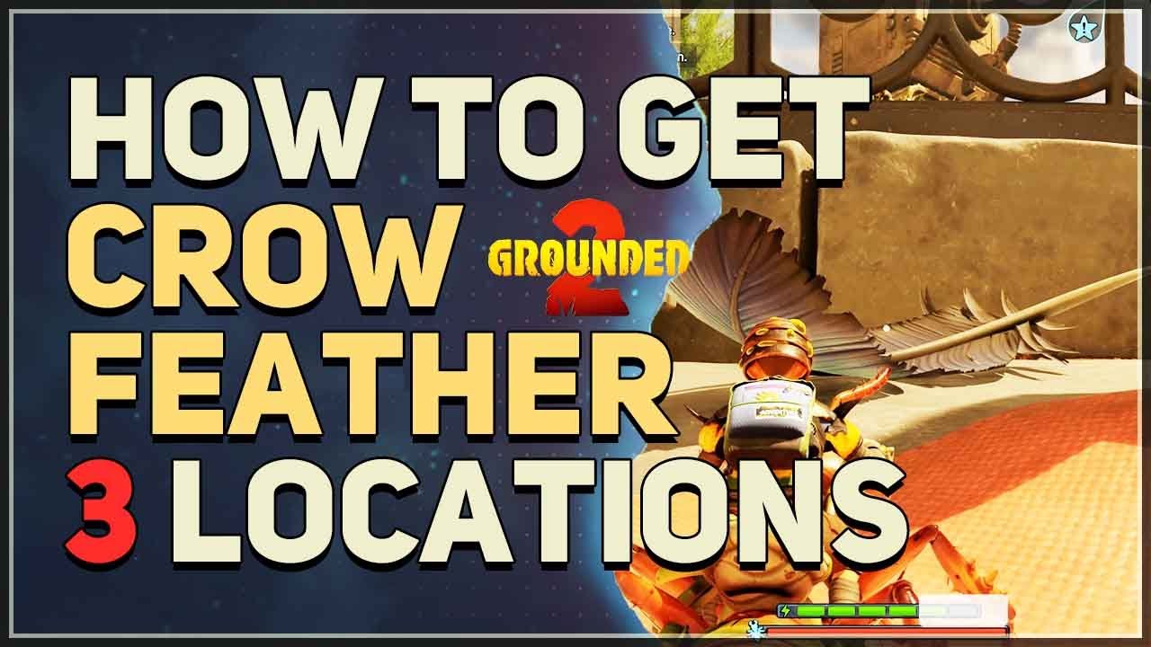 How to get Crow Feather Piece Grounded 2