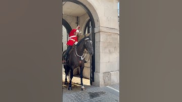 Lady Royal Canadian 🇨🇦Troops Presses Emergency button for assistance #kingsguard#canadian military