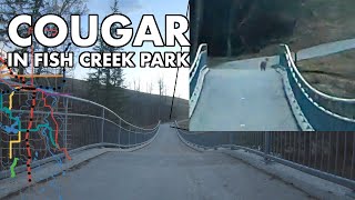 Cougar Encounter in Fish Creek on Bike
30 April 2020 in Calgary, Alberta, Canada.
During the peak of lockdown as the Lafarge meat packing plant outside High River was at its worst. As I was riding through Fish Creek Provincial Park during the sunrise, I encountered a cougar which promptly ran away after it heard me coming. I waited for it to get away far enough before I resumed my ride through downtown in the golden hour.
Interactive map of routes: https://www.google.com/maps/d/u/1/edit?mid=10jP1l5KfjImpNqxlh1jVZow-Y3-LI_7G&usp=sharing
This ride on Strava: https://www.strava.com/activities/3375233042
Plenty more rides and other timelapses to be uploaded in the near future!
Data of the ride is recorded and downloaded through Strava and manipulated through QGIS, GIMP, and Final Cut Pro X. Geographic data from Albertas National Road Network (open.alberta.ca) and these City of Calgary datasets (http://data.calgary.ca):
-Major Road Network
-Hydrology
-Tracks - LRT Centre Line
-Transit_LRT_Stations_map
Filmed with a GoPro Hero 7 Black: 10x Timewarp.
#자전거 #캘거리 #캐나다
Chapters:
0:00 - Overview Map
00:45 - Entering Fish Creek Park
00:57 - Ignoring Trail Closed signs
01:25 - Cougar Encounter
02:03 - Macleod Trail at Fish Creek
05:06 - Deerfoot Trail
05:45 - Carburn Park
06:05 - Glenmore Trail
06:25 - Great view of Downtown
07:23 - CP Rail Alyth Yard
07:40 - Entering Inglewood
08:45 - Chinatown
09:18 - Peace Bridge
09:31 - Kensington/10 Street
10:01 - 16 Ave/Trans-Canada Highway Cougar Encounter in Fish Creek on Bike