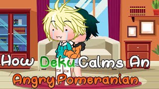 How Deku Calms An Angry Pomeranian Mha Skit Bkdk Amelia Sky