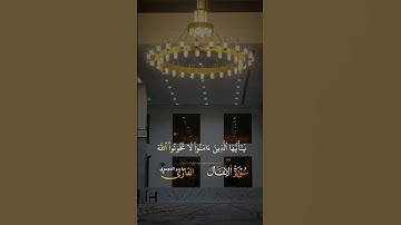 قرآن كريم #اكسبلور #اكسبلورر #اكسبلوررررر #راحة_نفسية #لايك #دويتو #duet #قرآن #الصلاة #تيك_توك