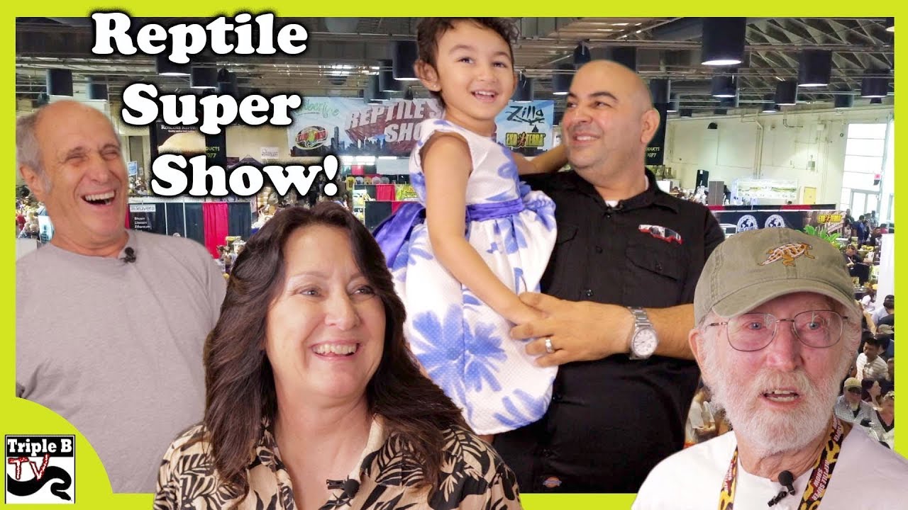 video phone beyonce mp3 The Reptile Super Show Interviews