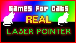 Cat Games on Screen : Real Laser Pointer  -  Video for Cats screenshot 5