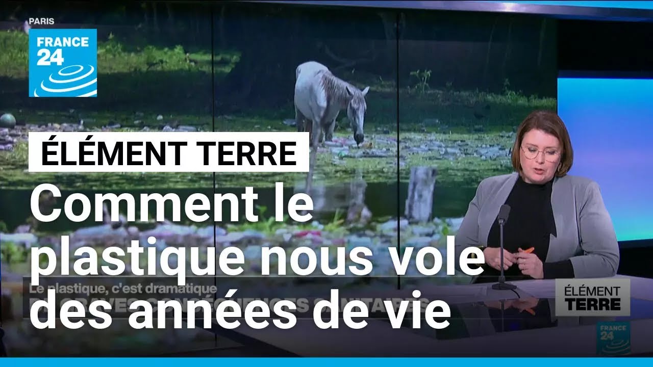 Comment le plastique nous vole des années de vie • FRANCE 24