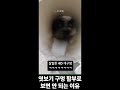 엿보기 구멍 함부로 보면 안되는 이유 엿보기 구멍 함부로 보면 안되는 이유