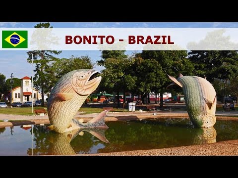 Bonito - Brazil - beautiful nature