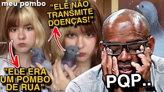 Garota Viraliza Ao Criar Pombo De Rua Em Sua Casa