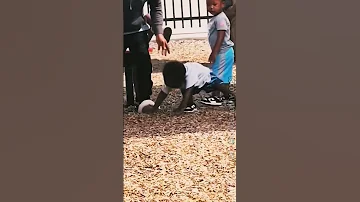 شوف هاد مسخوط الشعب الصيني ماله حل كوميديا ضحك 