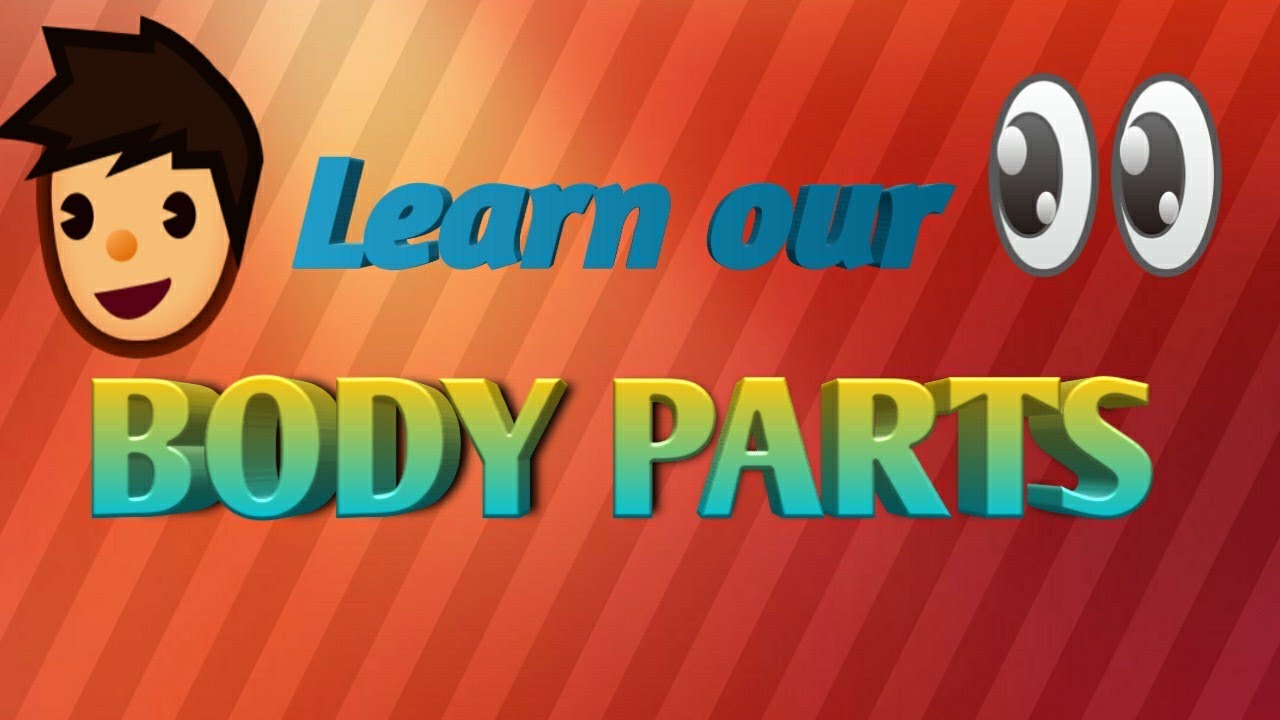 Our Body parts | Body parts name in English | Body parts name for kids
