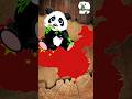 happiest job ever: Panda nanny #trending #panda #china