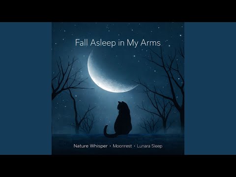 Held by the Night