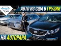 Обзор цен на авто из США в Грузии. Свежие цены на рынке Autopapa