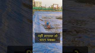 Fish Farming Big Mistake 😳 | Pond Liner नहीं लगाया तो घाटा पक्का!