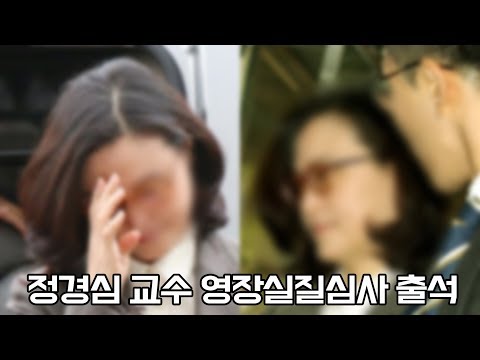 <strong>조국</strong> 전 법무부 장관 부인 정경심 교수 영장실질심사 출석 현장 <strong>영상</strong>