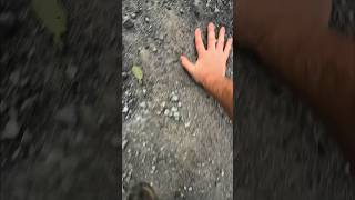 35.09266° N, 84.60071° W